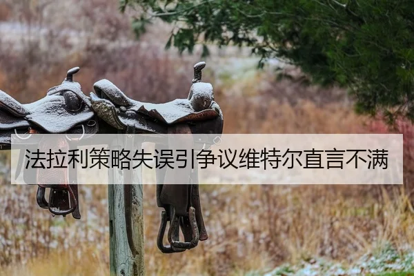 法拉利策略失误引争议维特尔直言不满